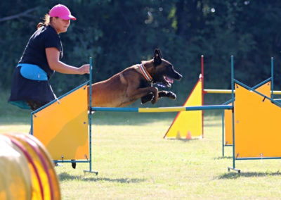 Trénink: Agility tréninky pro pokročilé a závodníky